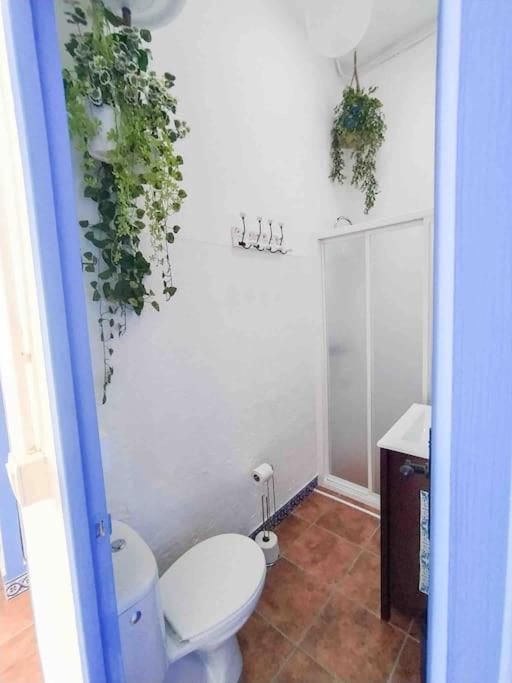 “Flor De Sal” Charming Traditional Andalusian House Ayamonte Dış mekan fotoğraf